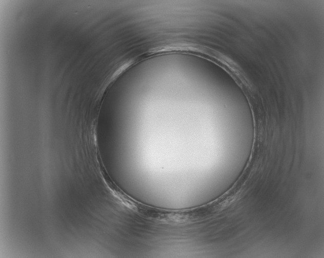 X0000059041241200510070817