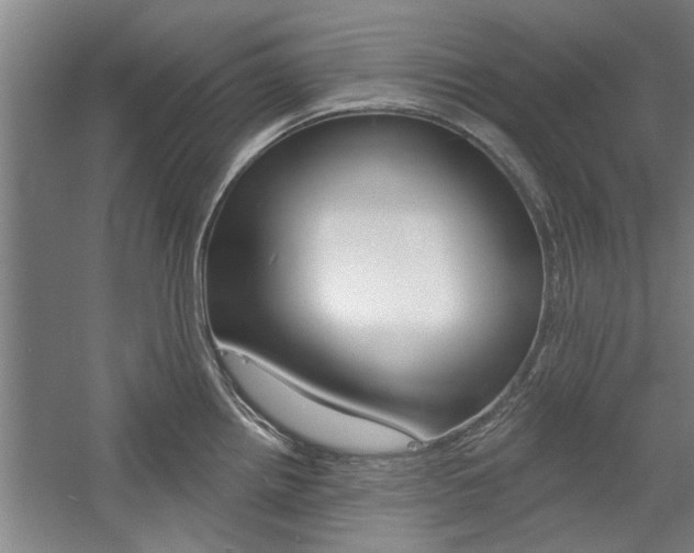 X0000059041242200510070817