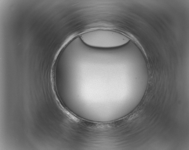 X0000059041243200510070817