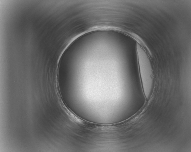 X0000059041244200510070817