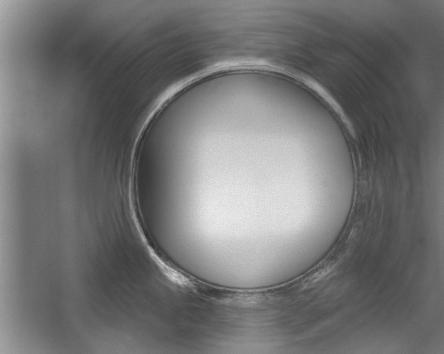 X0000059041245200510070817