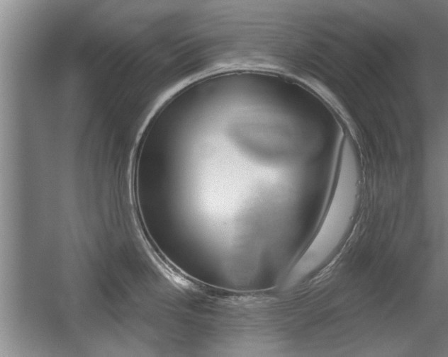 X0000059041246200510070817
