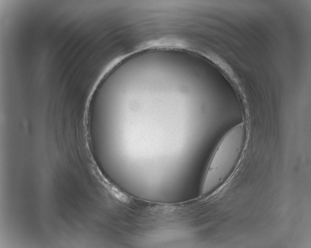 X0000059041248200510070817