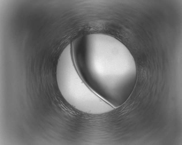 X0000059041250200510070816