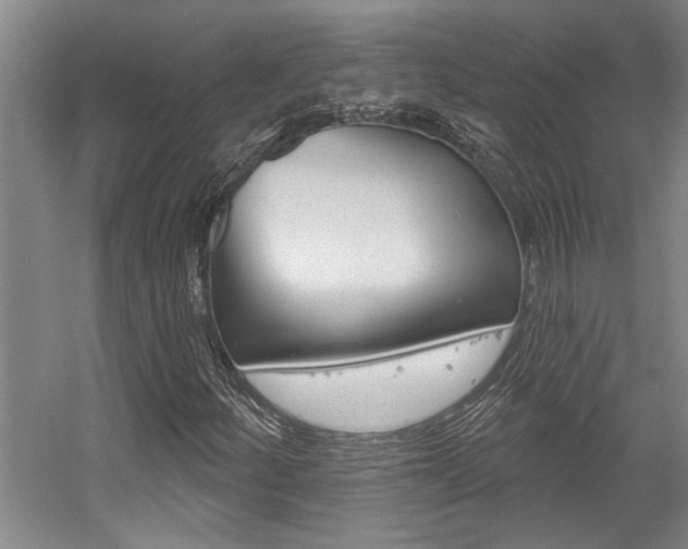 X0000059041252200510070816