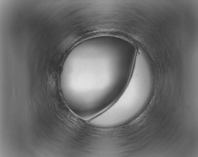 X0000059041257200510070816
