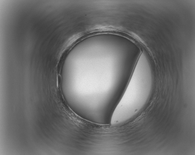 X0000059041269200510070816