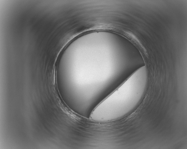 X0000059041276200510070815
