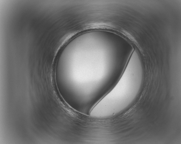 X0000059041277200510070815