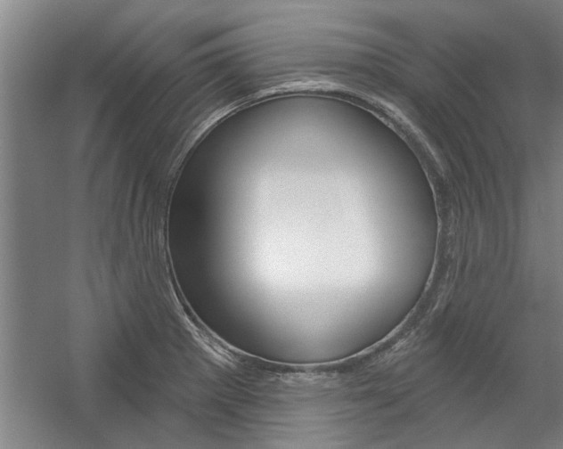 X0000059041281200510070815