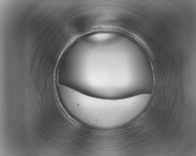 X0000059041283200510070815