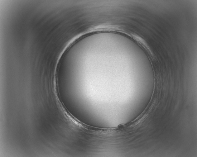 X0000059041288200510070815