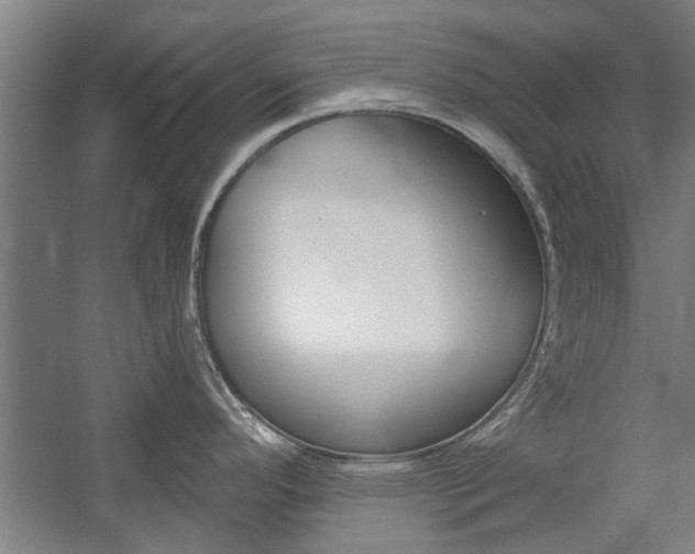 X0000059041296200510070815