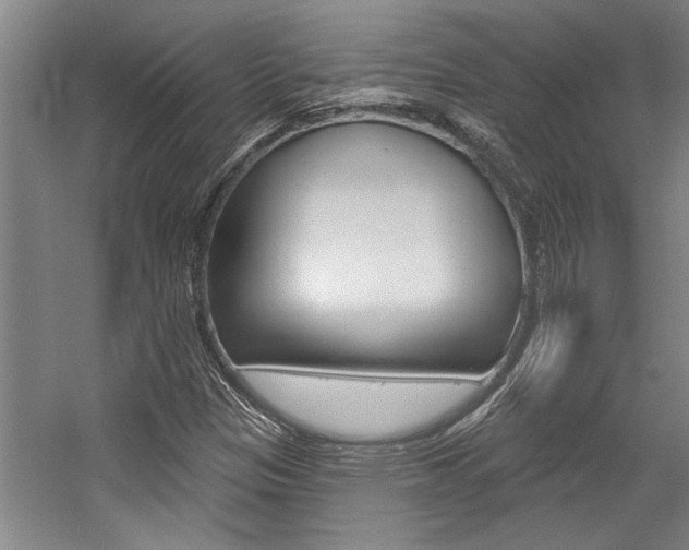 X0000059041305200510070814
