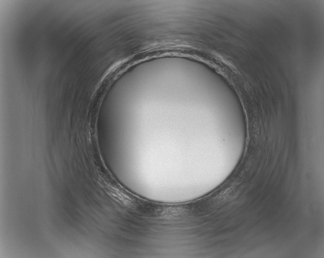 X0000059041306200510070814