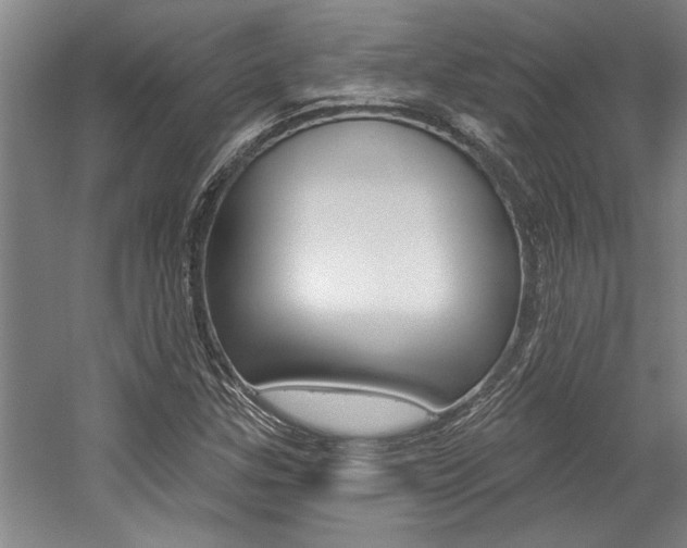 X0000059041307200510070814