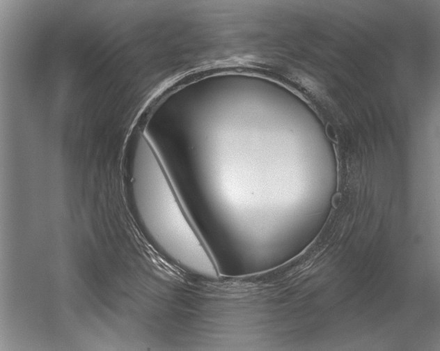 X0000059041308200510070814