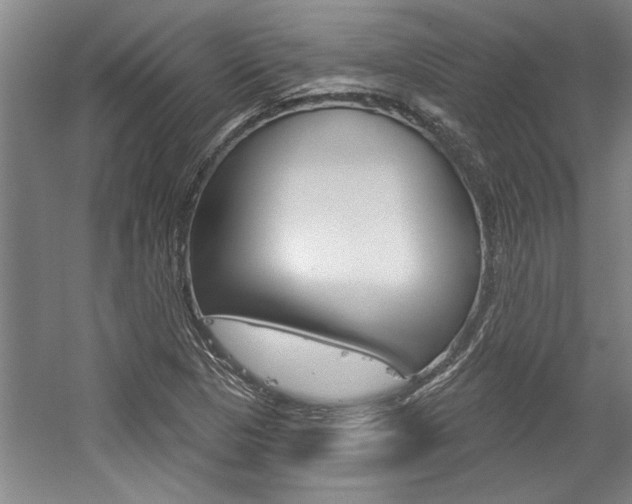 X0000059041313200510070815