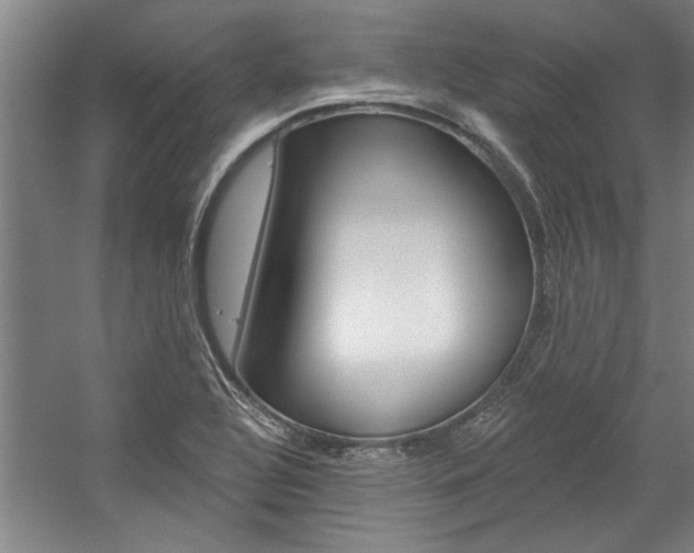 X0000059041320200510070815