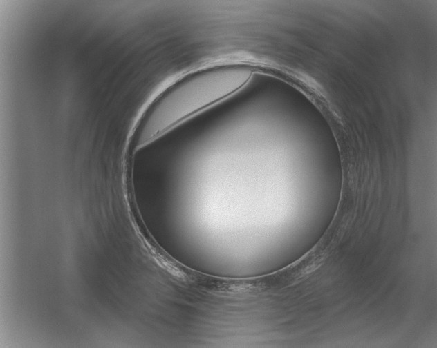 X0000059041326200510070815