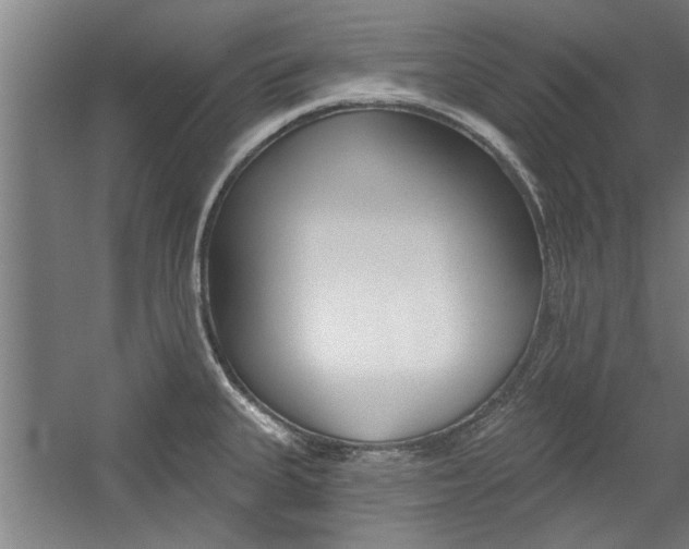 X0000059041335200510070815