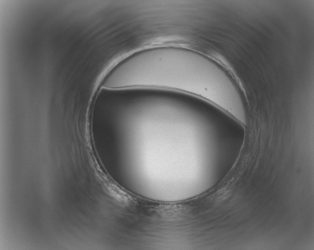 X0000059041336200510070815