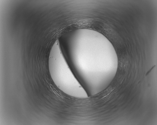 X0000059041346200510070814