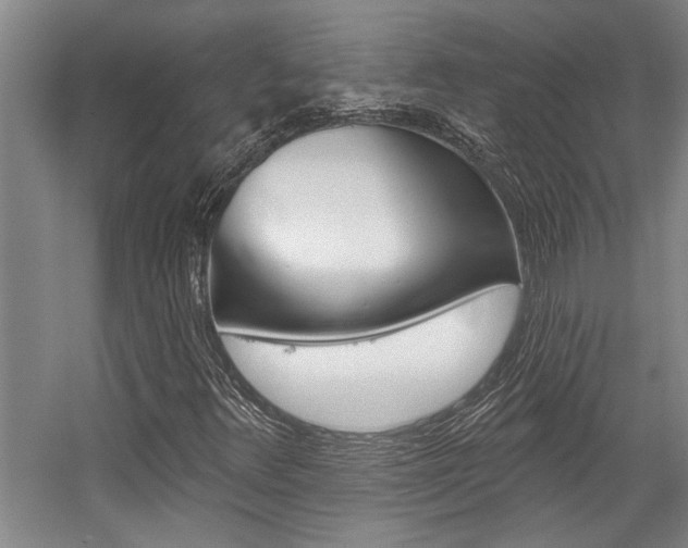 X0000059041348200510070814