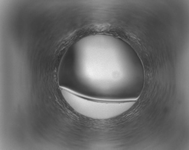 X0000059041349200510070814