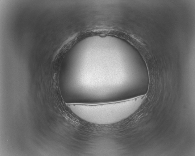 X0000059041351200510070814