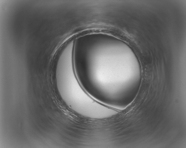 X0000059041352200510070814