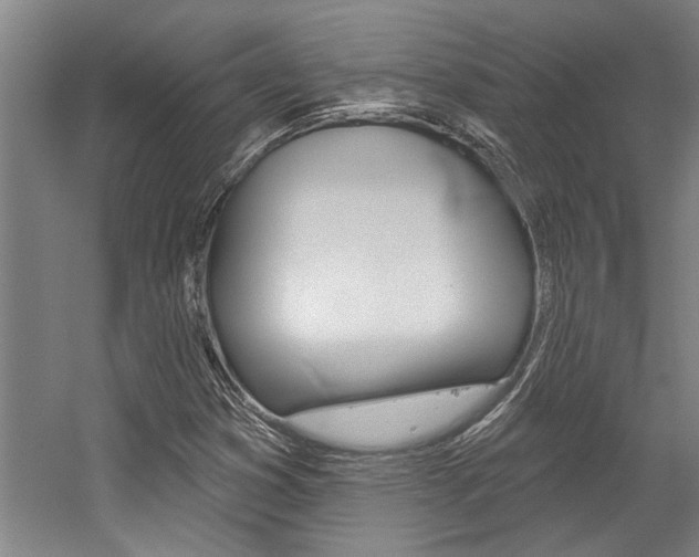X0000059041353200510070814