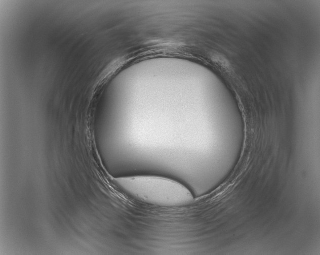 X0000059041354200510070814