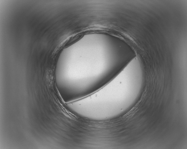 X0000059041355200510070814