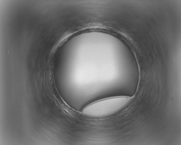 X0000059041359200510070814