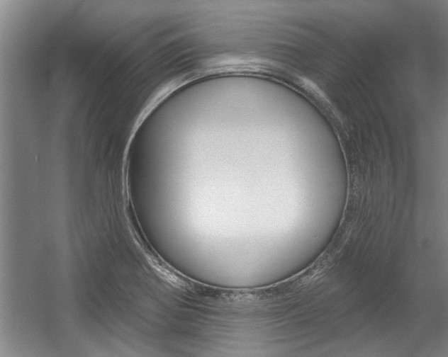 X0000059041370200510070814