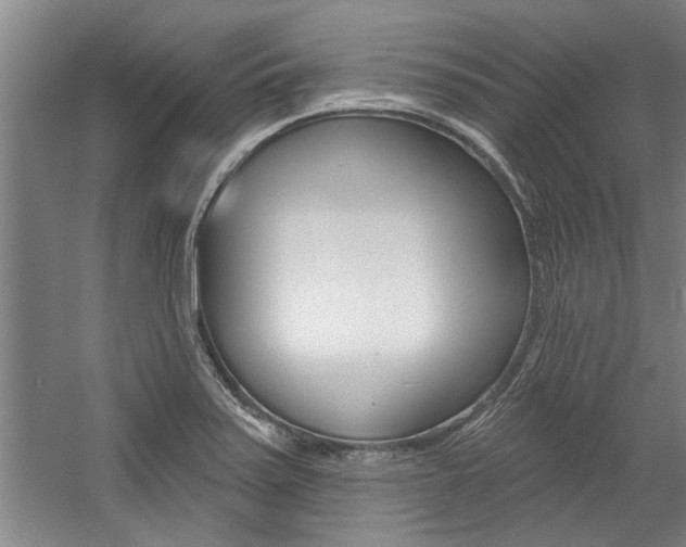 X0000059041371200510070814