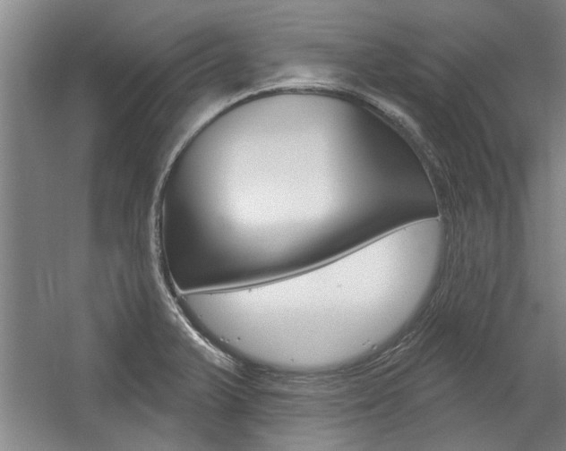 X0000059041375200510070814