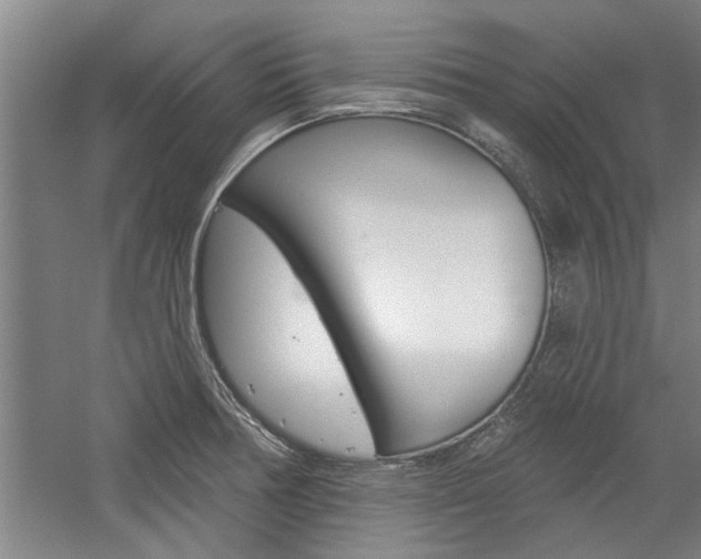 X0000059041378200510070814