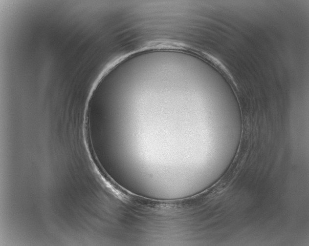 X0000059041379200510070814