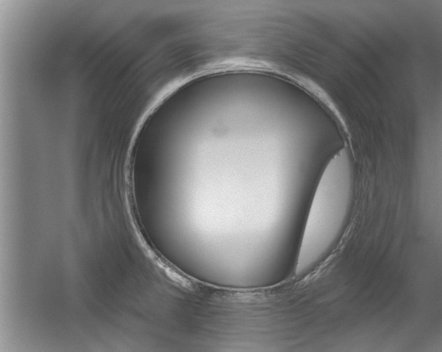 X0000059041381200510070814