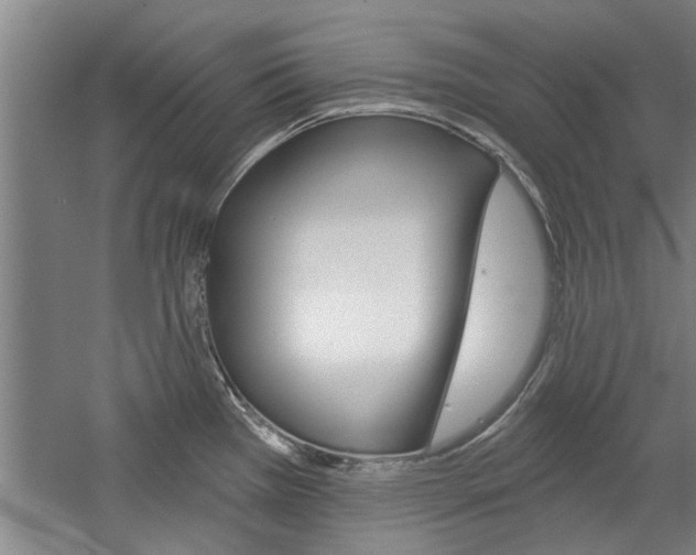 X0000059041385200510070814