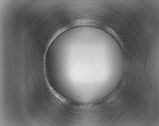X0000059041386200510070814
