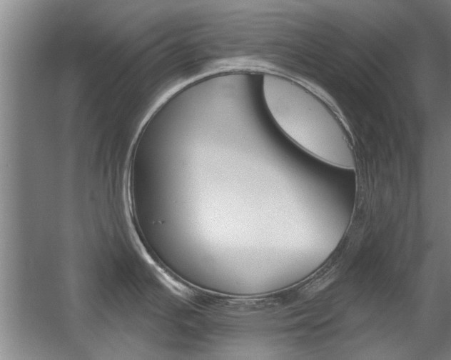 X0000059041391200510070813