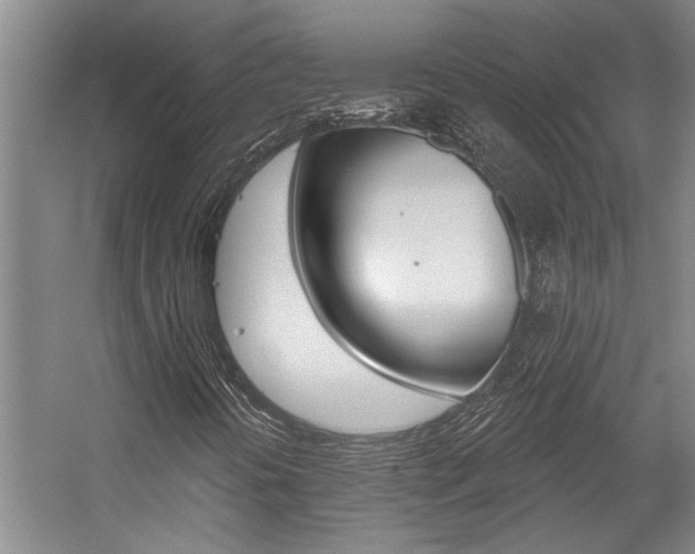 X0000059041394200510070813