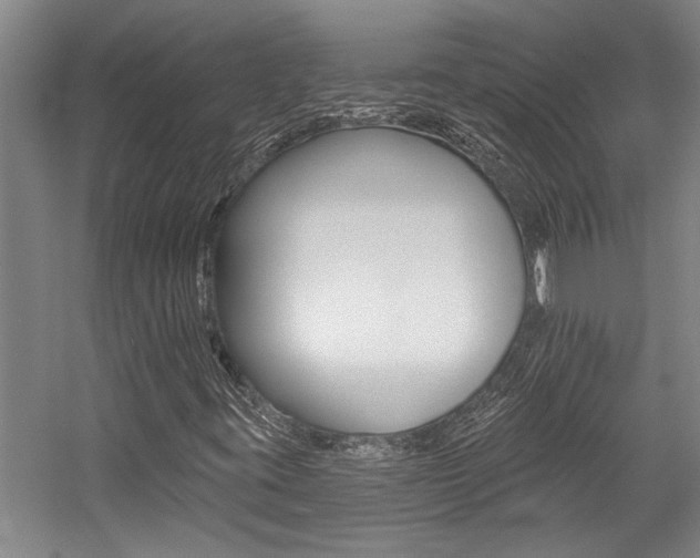 X0000059041395200510070813