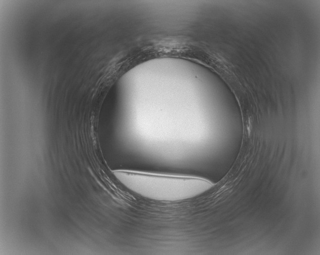 X0000059041396200510070813
