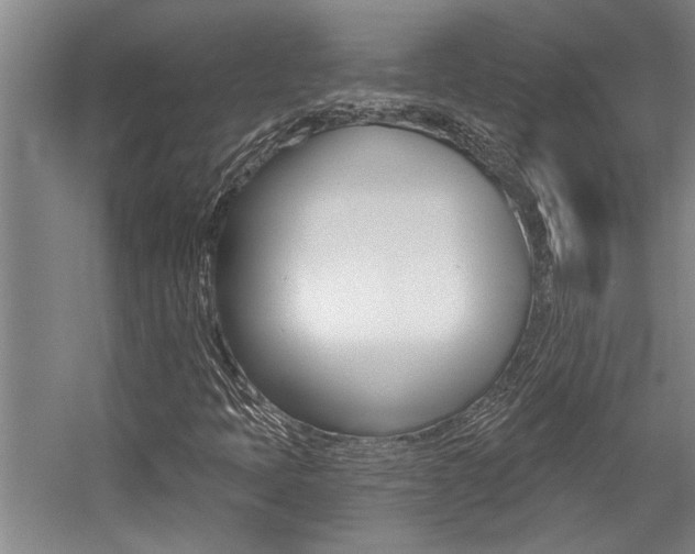 X0000059041397200510070813