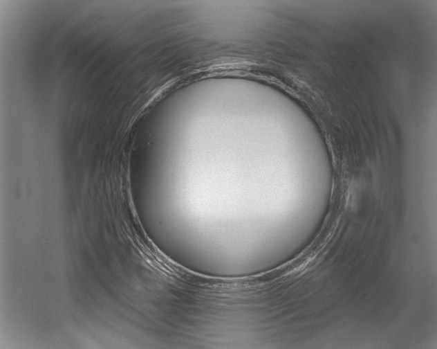 X0000059041401200510070813