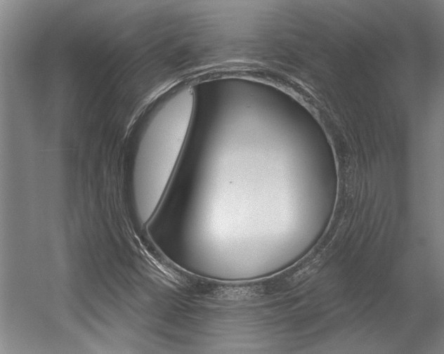 X0000059041402200510070813